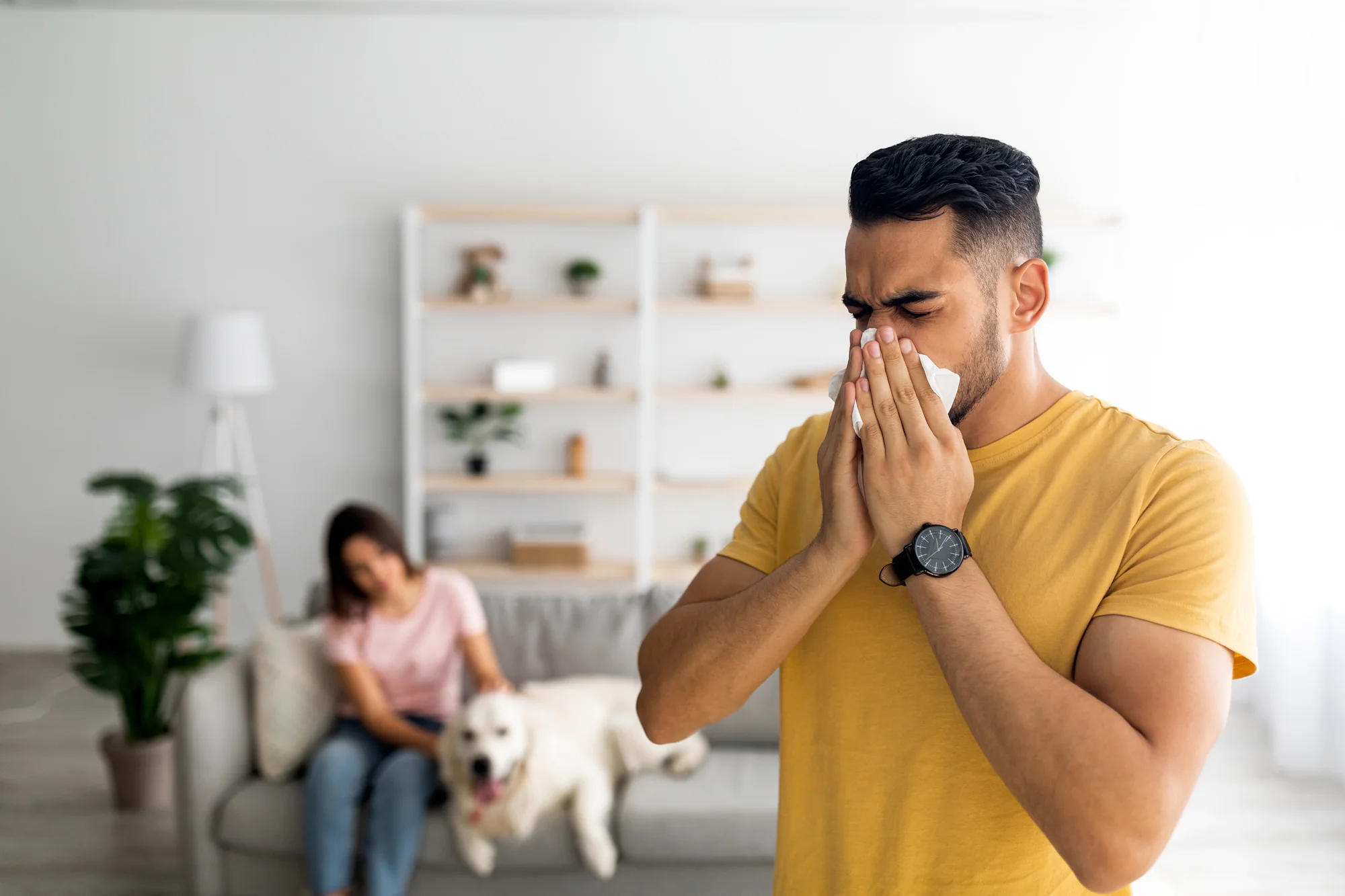 Home Allergies and Deep Clean Service