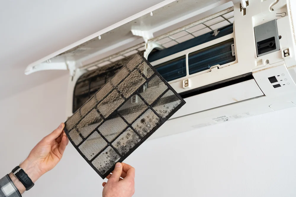 Health Risk - Moldy and Dirty Aircon Filter