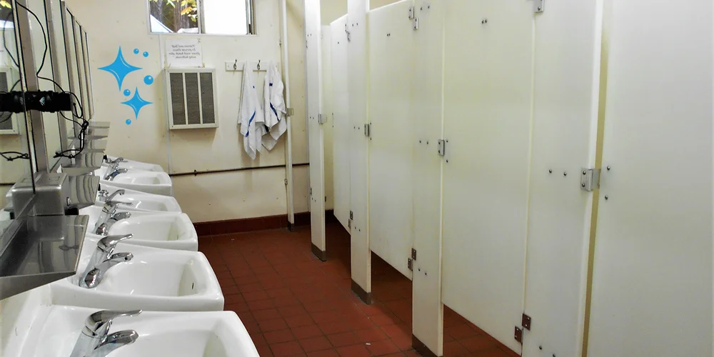 Toilet Cleaning and Maintenance for Business